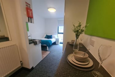 1 bed studio, Pitt St, Newcastle Upon Tyne, Newcastle, NE45SU - Image 3